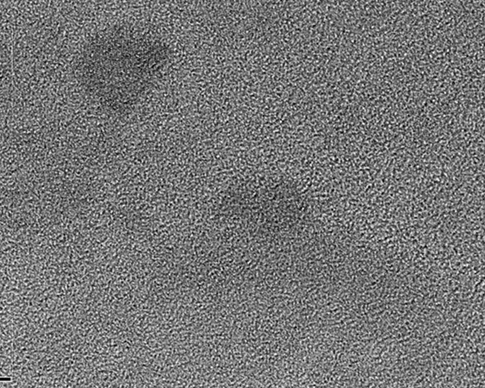 qd-pigments4